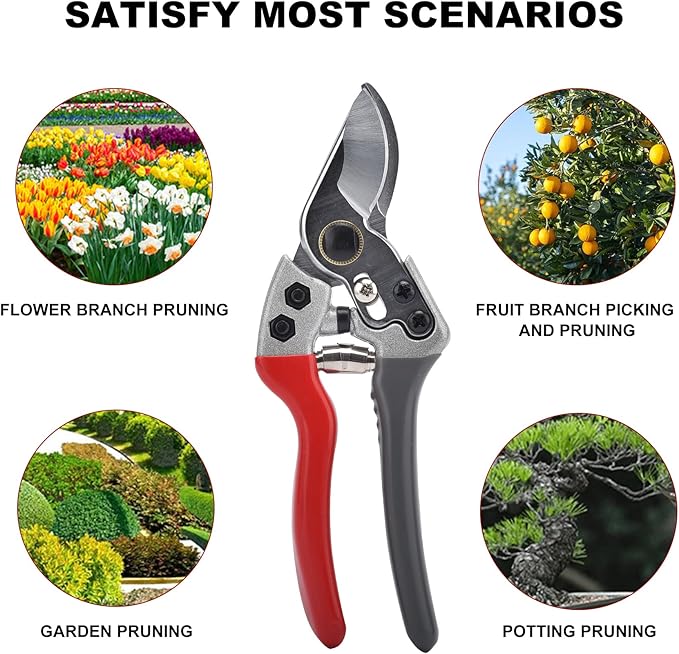 Pruning Shears, garden clippers,gardening tools, for trimming rose, floral, tree, live plants, sharp garden scissors, Professional Branch scissors(Red-grey)