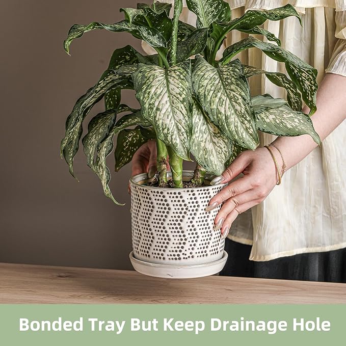 6 Inch Plant Pot: Ceramic Planter with Drainage Hole & Saucer for Indoor Outdoor Plants - Flowerpot with Bonded Tray for Home Office -Mixed Spots Debossed