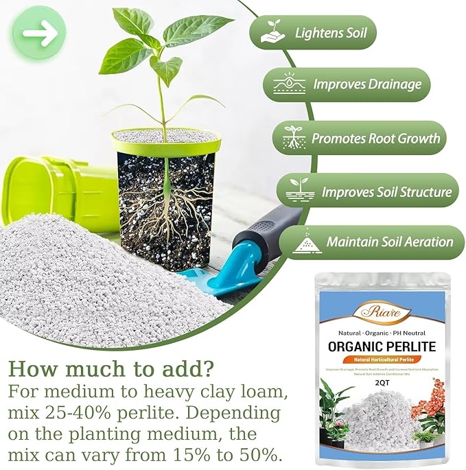 Riare 2 Quarts Organic Perlite for Plants - Horticultural Perlite Soil Amendment for Plants Potting Mix, Natural Chunky Perlite Soil Additive Conditioner Improve Root Growth, Drainage and Ventilation