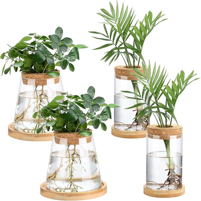 Layhit 4 Pcs Plants Propagation Stations Separated Desktop Plant Terrarium Glass Planter Vase with Wooden Lid and Bamboo Stand for Growing Hydroponic Home Office Tabletop Decoration (Stylish Style)