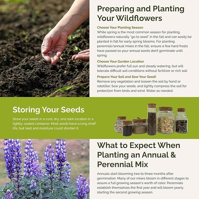 Eden Brothers North American Native Wildflower Mixed Seeds for Planting, 1 lb, 480,000+ Seeds with Birds Eyes, Lupine | Attracts Pollinators, Plant in Spring or Fall, Zones 3, 4, 5, 6, 7, 8, 9, 10