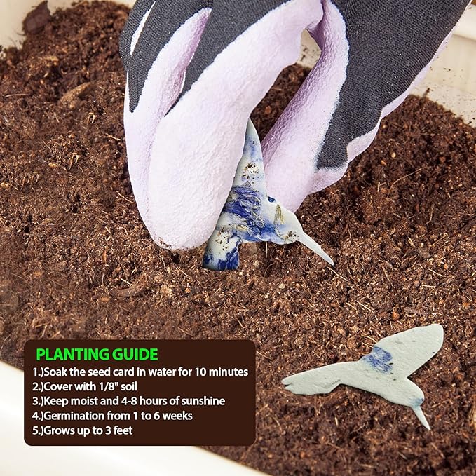24pcs Hummingbird Seed Paper – Plantable Wildflower Packets for Weddings, Gifts, & Life Events (24 Hummingbird)