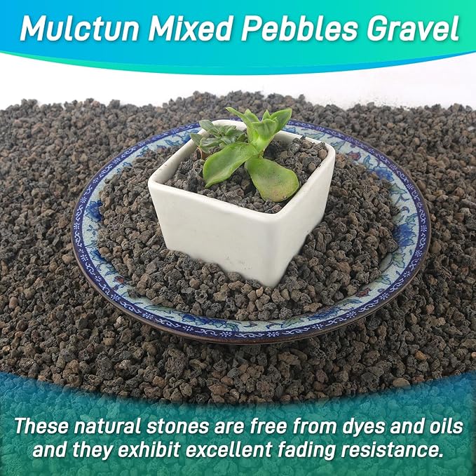 45Lb Horticultural Lava Rock-Lava Rocks for Plants,Succulent Soil Amendment,Decorative Cactus Soil Potting Mix,Volcanic Rock for Aquarium Fairy Gardening Top Dressing Plant Drainage