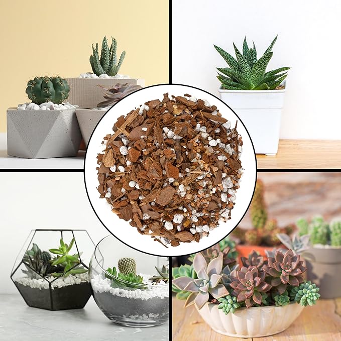 Cactus and Succulent Potting Mix (8 Quarts), Special Blend-Fast Draining and Desert-Style Gritty