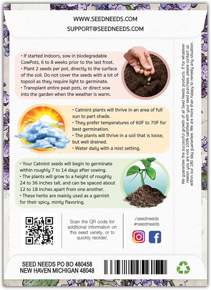 Seed Needs, Catmint Seeds for Cats - 600 Heirloom Seeds for Planting Nepeta mussinii - Perennial Flowering Medicinal Herb Non-GMO & Untreated (2 Packs)