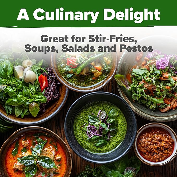 HOME GROWN Thai Basil Seeds Pack - 876 High Germination Non-GMO Heirloom Herb Seeds for Planting, Ideal for Growing Fresh Basil Planting Indoor or Outdoor (Ocimum basilicum VAR. thyrsiflora)