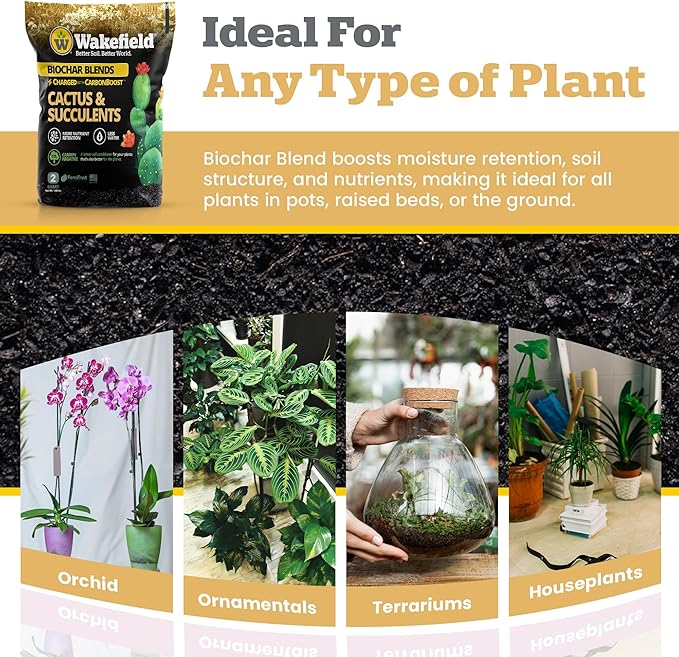Blend for Cactus & Succulent – Premium Organic Cactus Soil with CarbonBoost Technology for Enhanced Growth – Specialized Soil Mix for Succulents Indoor Plants – 2 Quarts