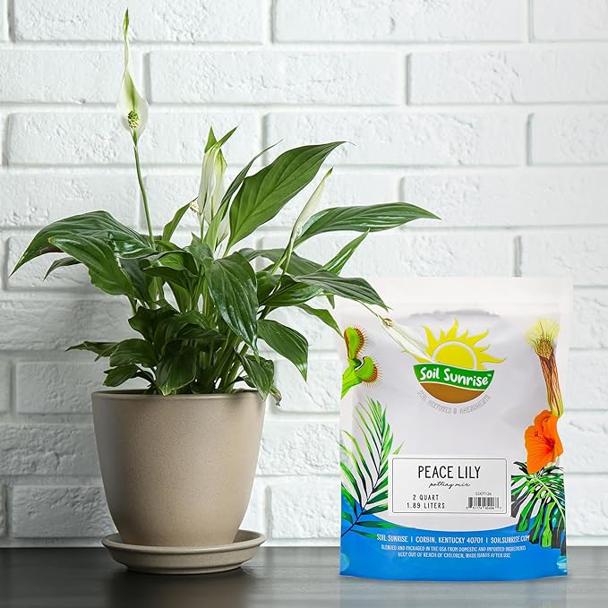 Peace Lily Potting Soil Mix (2 Quarts), for Planting, Growing, or Repotting Peace Lily Plants