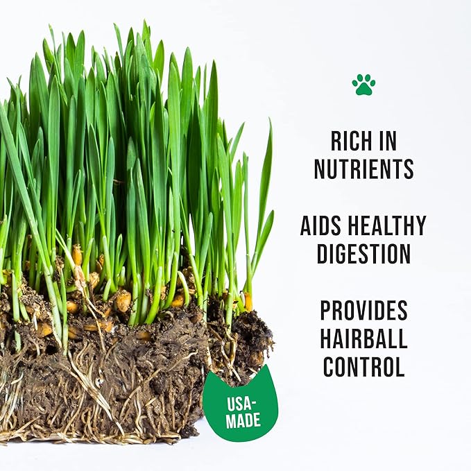 Cat Grass Growing Kit -Organic Seed, Soil and BPA Free containers (Non GMO). All of Our Seed is Locally sourced! (1 Pack)