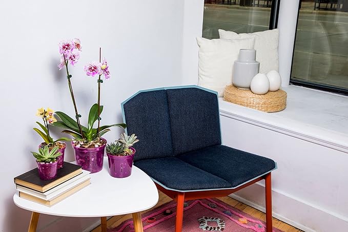 rePotme Orchid Pot Growers Assortment (8 Slotted Clear Orchid Pots - 2 Each of 3, 4, 5, 6 Inch) - Premium Orchid Planters, Orchid Pots with Holes for Repotting