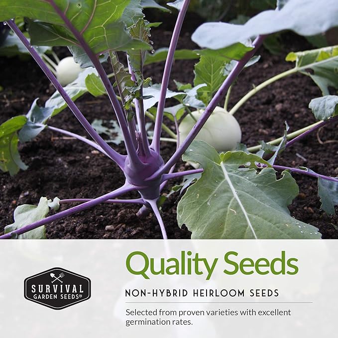 Survival Garden Seeds Rare Exotic Heirloom Veg Collection - Purple Vienna Kohlrabi, Lemon Cucumber, Watermelon Radish, Opal Basil, Romanesco Broccoli, Tendersweet Orange Watermelon Vegetable Seeds