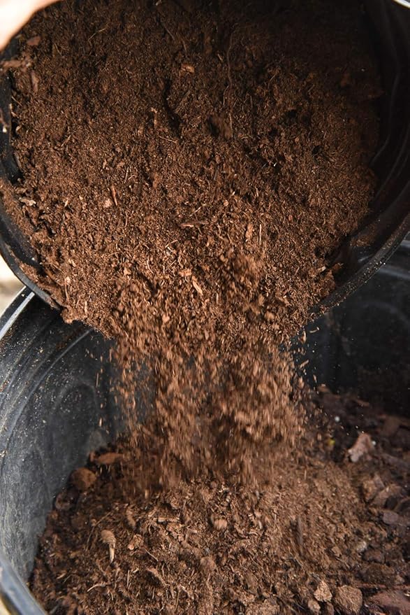 Organic Sphagnum Peat Moss by Perfect Plants - 4 Dry Quarts Absorbs Essential Nutrients When Added to Soil and Enriches Plant Roots - Indoor and Outdoor Use