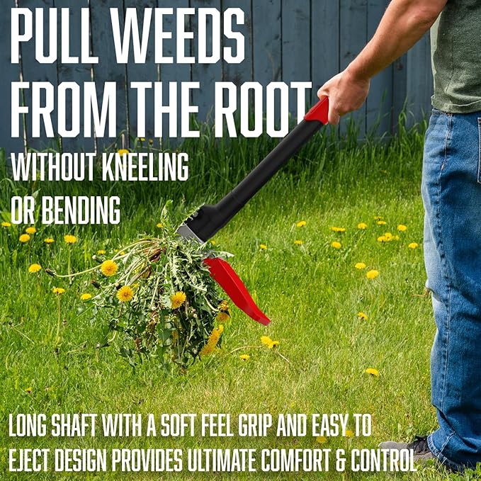 Papa's Tools Weeder - Stand Up Weed Puller Tool Made with Long Wooden Handle - Real Bamboo & 4-Claw Steel Head - Easily Remove Weeds Effortlessly Without The Need to Tug, Bend, Or Flex, (Metal)