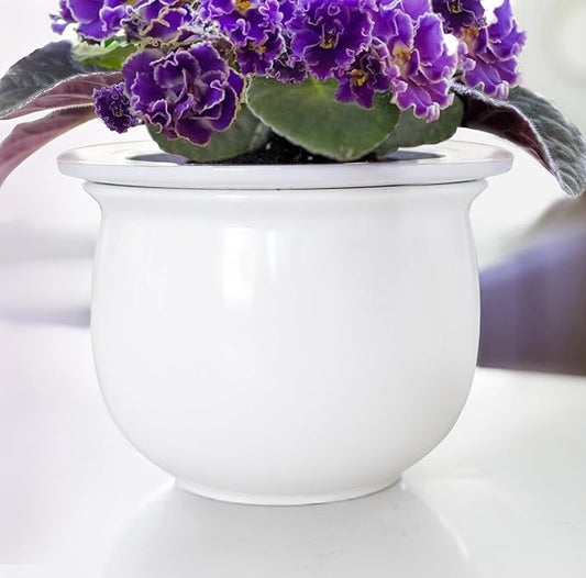 African Violet Pots Ceramic 6.5”W x 4.6”H Self Watering Planter for Indoor Flowers and Plants – White Glazed Outer Plant Pot with Highly Absorbent Inner Planter Pot for Tropical Plants