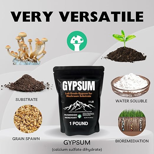 Gypsum Powder for Mushroom Substrate (5 lb) | Lab Grade | Packed in a HEPA-Filtered Facility | Highly Soluble for Growing Mushrooms | Soil Conditioner | (Calcium Sulfate Dihydrate) (5 Pounds)