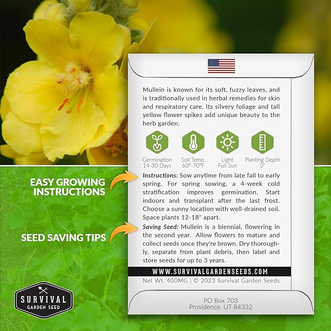 Mullein Seed for Planting - 5 Packets with Instructions to Plant and Grow Medicinal Herb Common Mullein in Your Home Vegetable Garden - Non-GMO Heirloom Variety - Survival Garden Seeds
