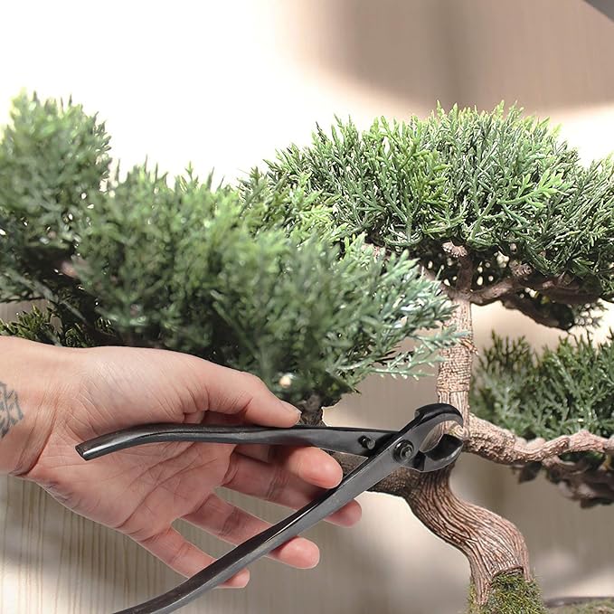 BambooMN Bonsai Tool Kit - 8" Concave Cutter & 8" Knob Cutter - 30 Sets