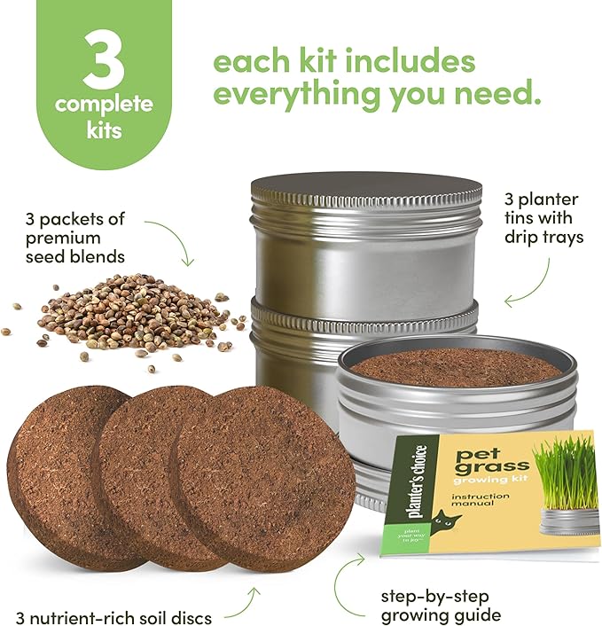 Grow Your Own Cat Grass for Indoor Cats Kit - 3 Complete Growing Kits - Plant Seeds, Pets Health Supplies Stuff - Gift for Pet Lover