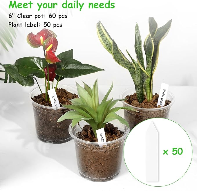 60 Pack 6 Inch Clear Nursery Pots with Drainage Holes, Transparent Plastic Pots for Plants, Reinforced Seed Starter Pots Garden Pots Flower Pots Come with 50pcs Plant Labels