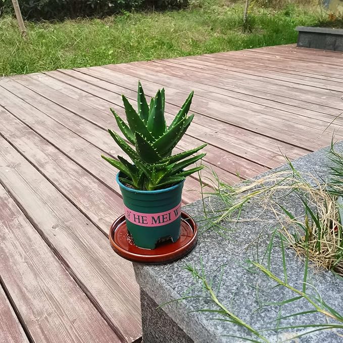 Ceramic Plant Saucer 5 Inch, 2 Pack Round Plant Saucers for Indoors/Outdoors, Flower Pot Saucers for Holding Water Drips, Ceramic Plant Water Trays for pots Planter, Bird Bath Bowls (Brown)