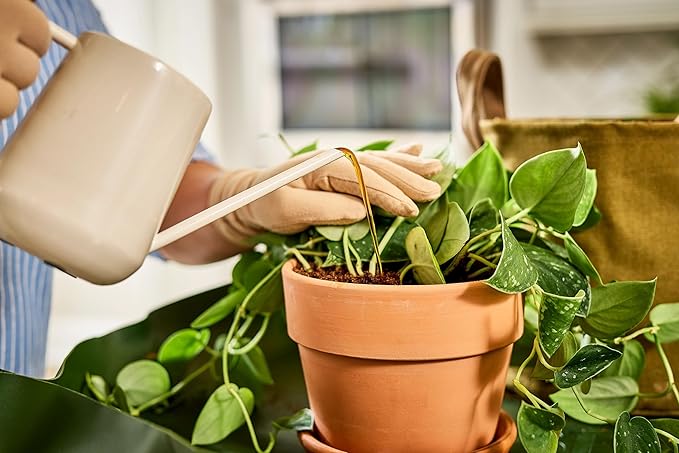 Miracle-Gro Organic Plant Food, 32 oz. (2-Pack)