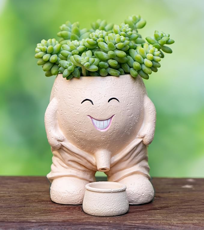 Quirky Creative Planter with Smiley Face,Naughty Boy Plant Face Pot with Drainage Hole,for Indoor Outdoor, Christmas, (Naughty Boy,Khaki)