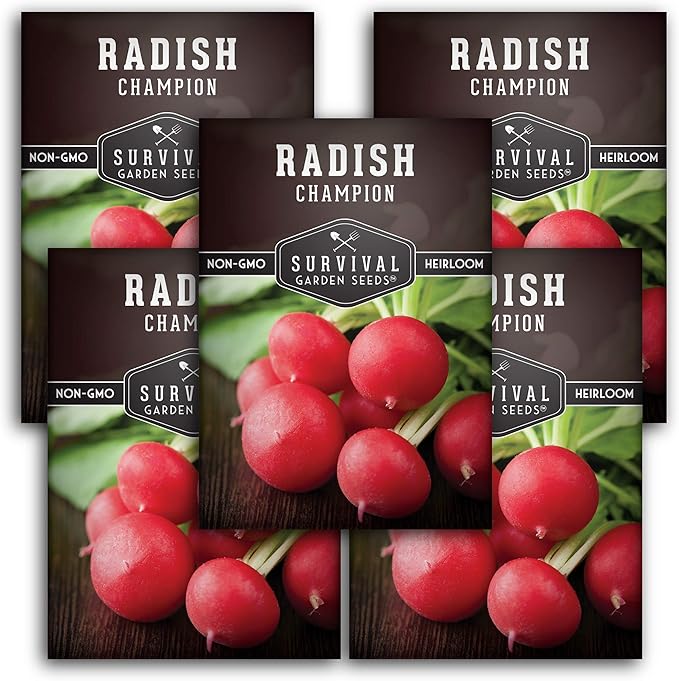 Survival Garden Seeds - Champion Radish Seed for Planting - Packet with Instructions to Plant and Grow Red Radishes in Your Home Vegetable Garden - Non-GMO Heirloom Variety - Vegetable Seed Planting