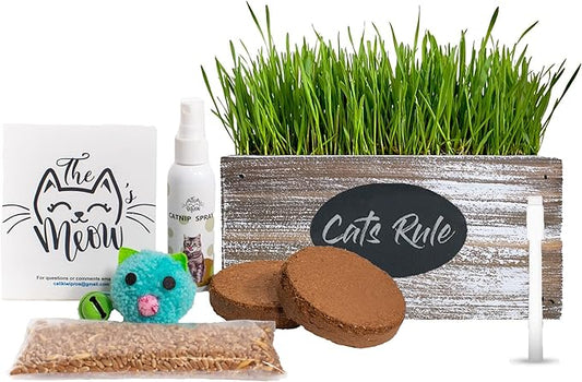 Ornamental Indoor Planter with Pet/Cat Grass Growing kit, Handcrafted in The USA from Red Cedar (Whitewash)