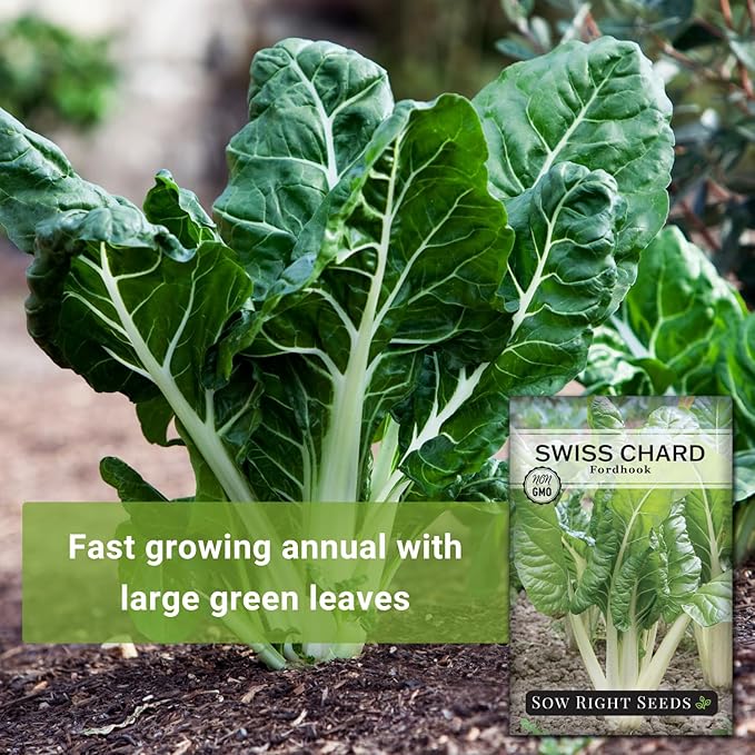 Sow Right Seeds - Fordhook Swiss Chard Seed for Planting - Non-GMO Heirloom Packet with Instructions to Plant and Grow an Outdoor Home Vegetable Garden - Nutritious, Flavorful - Great Gift (1)