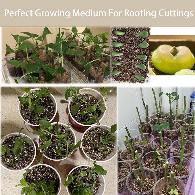 Natural Coarse Vermiculite 5QT for Plants Organic Occurring Mineral Potting Mix Grow Medium for Potted Plants, Hydroponics, Terrariums, Orchids, Mushroom Growing Or Reptile Habitats