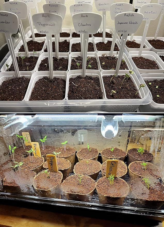 50 QT Professional Grade Horticultural Organic Vermiculite and Perlite (Vermiculite, 50 QT)