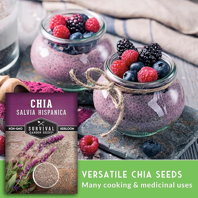 Mexican Chia Seed for Planting - 5 Packets with Instructions to Plant and Grow Mexican Chia in Your Home Vegetable Garden - Non-GMO Heirloom Variety - Survival Garden Seeds