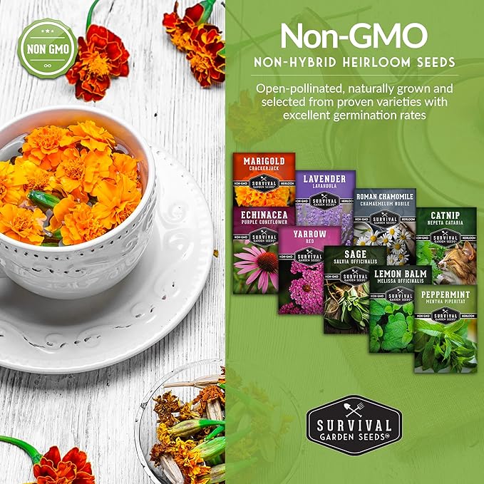 Medicinal Tea Seeds Collection - 9 Non-GMO Heirloom Herbs to Grow in The Garden - Chamomile, Lavender, Echinacea, Catnip, Lemon Balm, Marigold, Sage, Peppermint, White Yarrow - Survival Garden Seeds