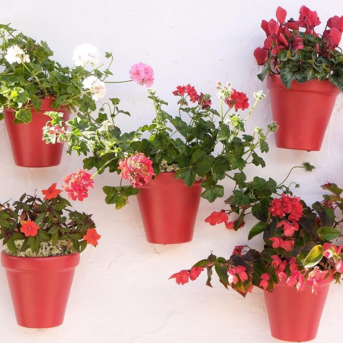 ZeeDix 226g Premium Sphagnum Moss for Plants, 12QT Natural Long Fibered Orchid Moss Sphagnum Peat Moss Bulk for Carnivorous,Orchid,Sarracenia,Succulent,Venus Fly Traps and Reptiles