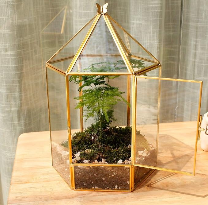 Glass Geometric Plant Terrarium,Succulent & Air Planter for Home Garden Office Decoration,No Plants(Gold Hexagonal)