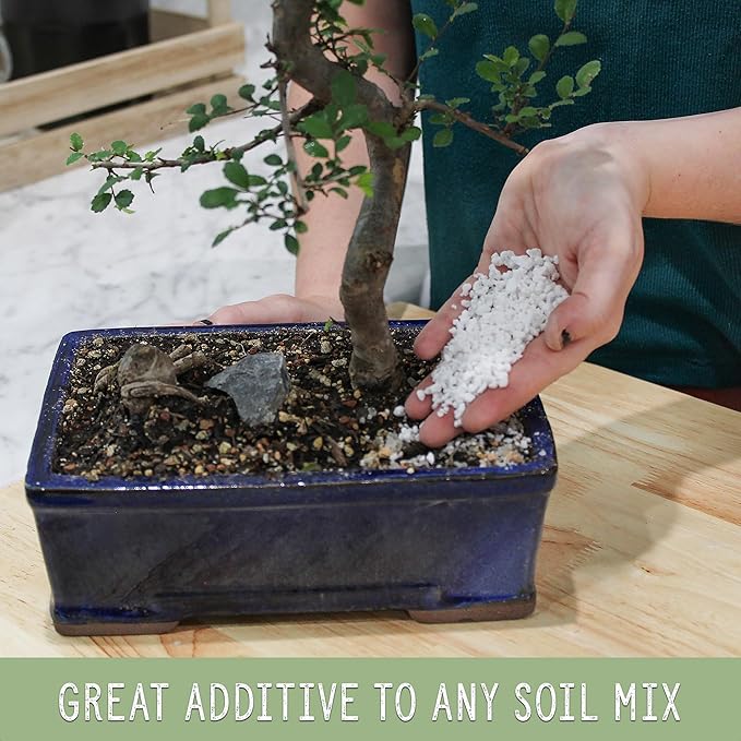 Horticultural Perlite Soil Additive (8 Quarts); for Enhanced Potting Mix Drainage and Growth