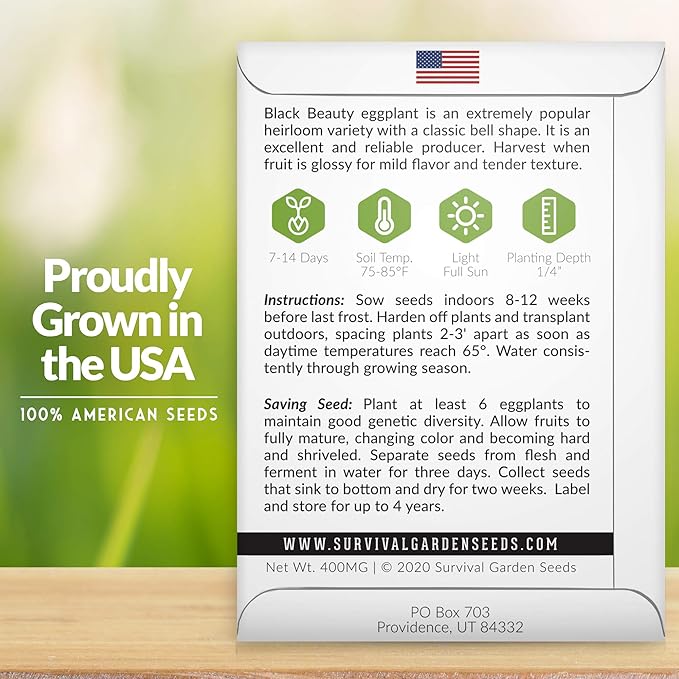 3 Packs Black Beauty Eggplant Seed for Planting - Packet with Instructions to Grow Purple Aubergine Plants in Your Home Vegetable Garden - Non-GMO Heirloom Variety - Survival Garden Seeds