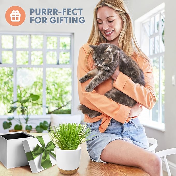 The Cat Ladies Cat Grass for Indoor Cats Kit with Organic Cat Grass Seed Mix, Soil and Ceramic & Cork Planter, Natural Hairball Remedy