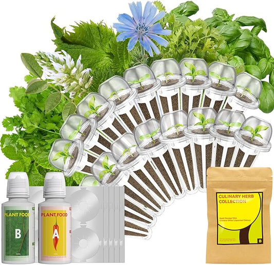 LYKOCLEAN Gourmet Herb Seeds Pod Kit for AeroGarden, idoo, Ahopegarden, MUFGA Hydroponics Garden, 350+ Seeds, Include Cilantro, Basil, Parsley, Mint, Liquorice(18-Pods)