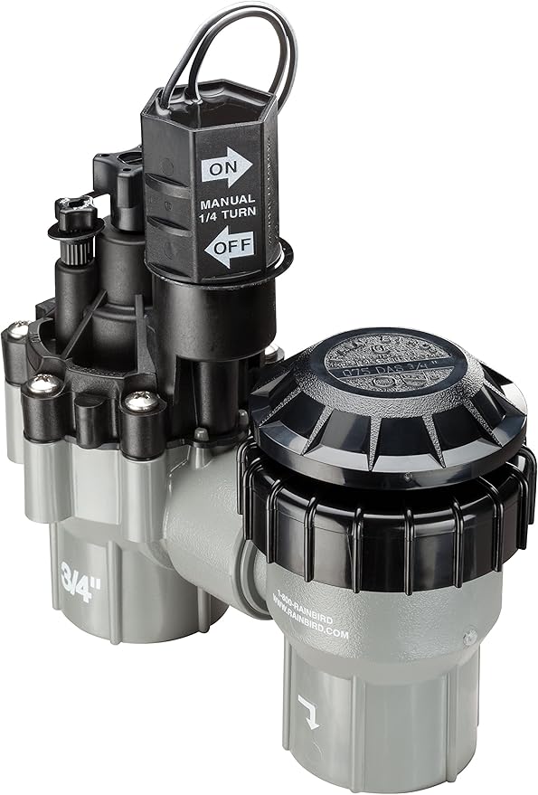 Rain Bird DASASVF075 Professional Grade Anti-Siphon Valve with Flow Control, 3/4" Threaded Female x Female