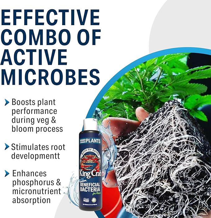 King Crab Root Stimulator for Plants, Ultra Concentrated OMRI Organic Bacteria, 275 Million Organisms per ml, Roses, Tomatoes, Houseplants, Soil Conditioner, Soil Activator, Soil Microbes