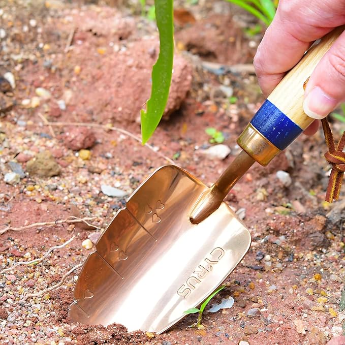 CYRUS Garden Tool Set, 3 Piece Stainless Steel Hand Trowel, Includes Hand Trowel, Transplanting Shovel and Hand Rake with Ash Wood Handle for Planting, Maintaining Lawns and Gardens, Rose Gold