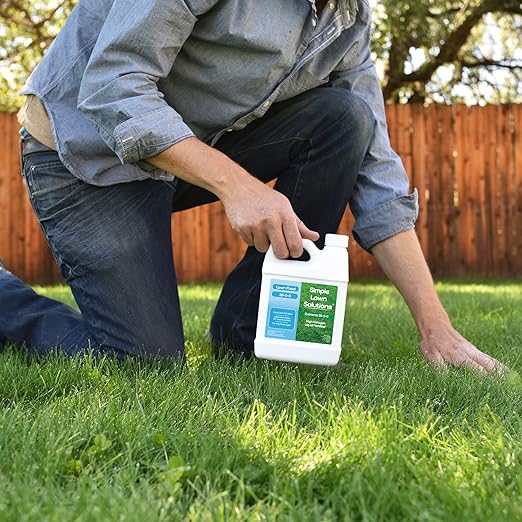 Maximum Green & Growth- High Nitrogen 28-0-0 NPK- Lawn Food Quality Liquid Fertilizer- Spring & Summer- Any Grass Type- Simple Lawn Solutions - Concentrated Quick & Slow Release Formula (1 Quart)