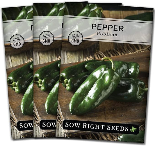 Sow Right Seeds - Poblano Pepper Seeds for Planting - Non-GMO Heirloom Packet with Instructions to Plant a Home Vegetable Garden - Hot Ancho Chile Variety to Grow, Spicy and Abundant (3)