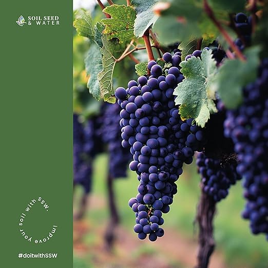 Soil Seed & Water Bacchus Concentrated Organic Soil Amendment Fertilizer for Grape Vines