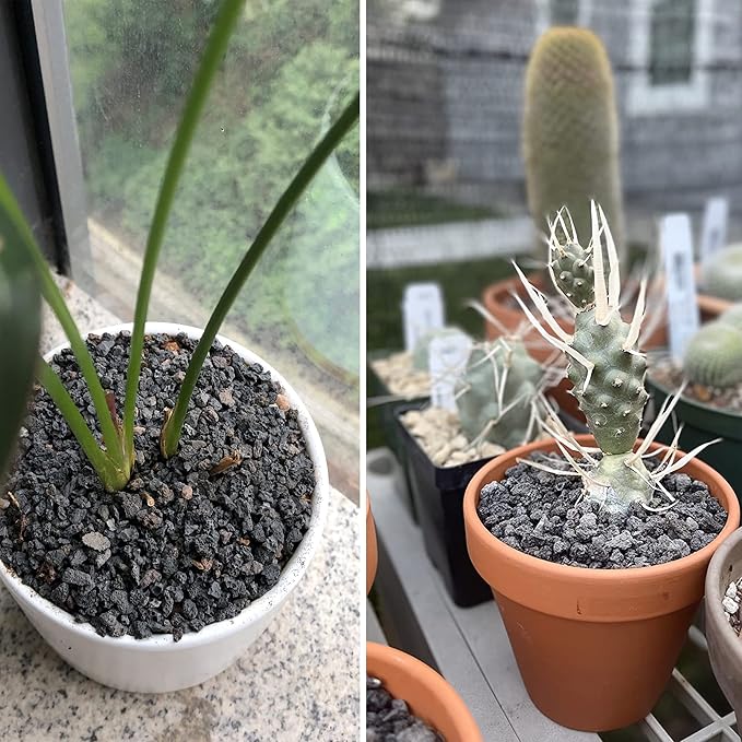 18LB Black Horticultural Lava Rock Soil for Decorative Landscaping Bonsai, Cacti, Succulents Plants Top Dressing for Release Excess Water