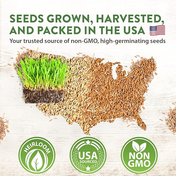 HOME GROWN Cat Grass Seeds (6oz) - Barley & Oat Seeds Mix - Keep Pets Healthy with Cat Grass for Indoor Cats - Cat Grass Seeds Bulk - Refill Cat Grass Growing Kit-100% Non-GMO, Heirloom Cat Grass Seed