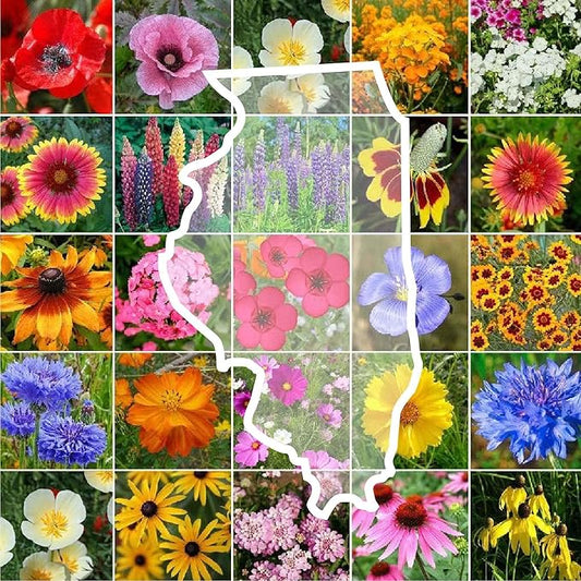 Eden Brothers Illinois Wildflower Mixed Seeds for Planting, 1 oz, 30,000+ Seeds with Cosmos, Blanket Flower | Attracts Pollinators, Plant in Spring or Fall, Zones