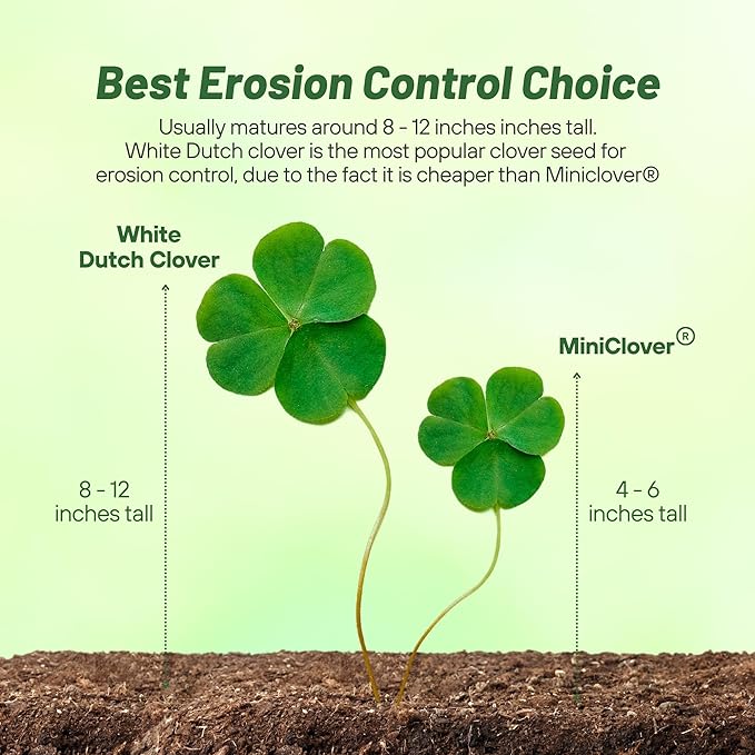 Outsidepride Perennial White Dutch Clover Seed - 5 lbs. Nitrocoated, Inoculated Clover Seeds for Lawn Alternative, Erosion Control, Food Plots, Ground Cover, & Pasture Mixtures in USDA Zones 3-10