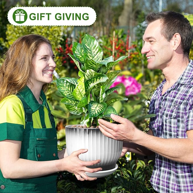 8 Inch Plant Pot, Ceramic Planter with Drainage and Saucer, Ceramic Pots for Plants, Indoor Plant pots,Ceramic Flower pots(Black + White, Plants NOT Included)